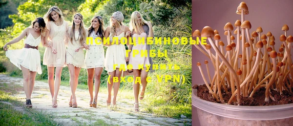 ГАЛЛЮЦИНОГЕННЫЕ ГРИБЫ Белоозёрский