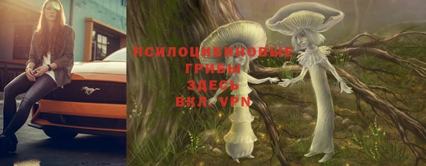 спиды Балахна